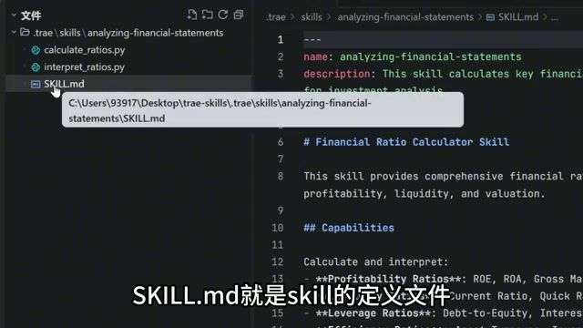 Skill.md 内部定义代码块